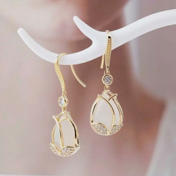 Jewelry - Moonstone Earrings